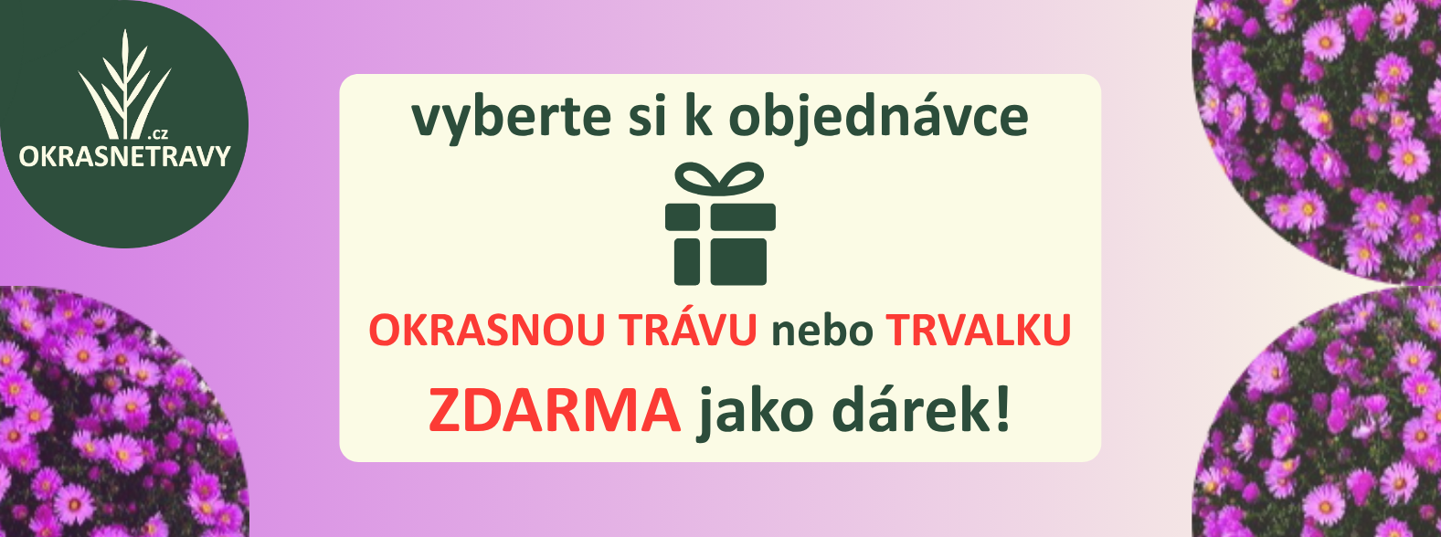 Kategorie Trvalky banner